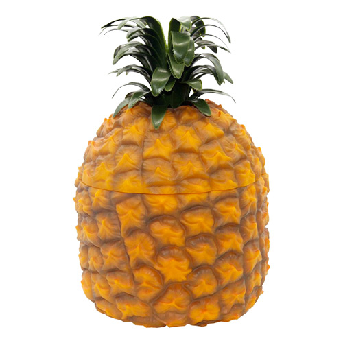 Ananas Ishink