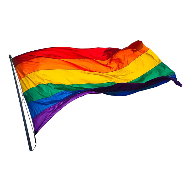 Prideflagga för Flaggstång - 150x250