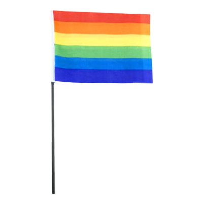 Prideflagga på Pinne 40x60cm - 1-pack